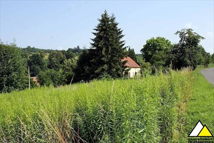 działka na sprzedaż 4600m2 działka Świecie