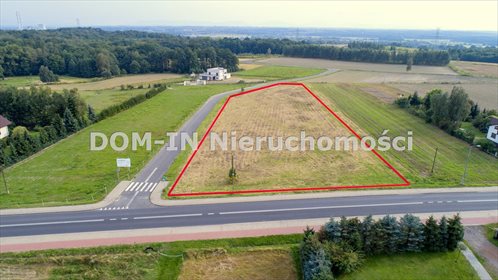 Działka budowlana na sprzedaż Gorzyczki, Raciborska 6 600m2 Foto 3