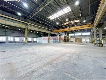 magazyn na wynajem 2500m2 magazyn Kraków, Rybitwy, Rybitwy, Półłanki