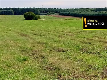 Działka 35 000 m² pod zabudowę i agroturystykę polecam działka Celiny