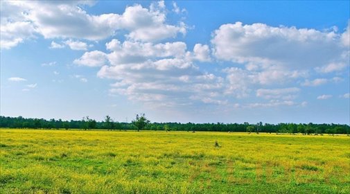 działka na sprzedaż 4774m2 działka Wasilków