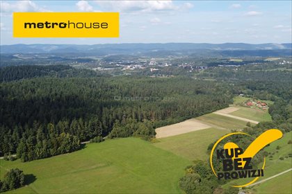 działka na sprzedaż 9200m2 działka Weremień, Lesko