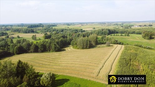 Przestronna działka 1 ha w Rakówku blisko jeziora Mauda - zapraszam działka Rakówek