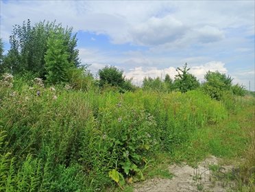 Działka budowlana na sprzedaż Małuszów, Jaśminowa 5 130m2 Foto 3
