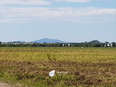 działka na sprzedaż 3000m2 działka Mokronos Dolny, Morelowa