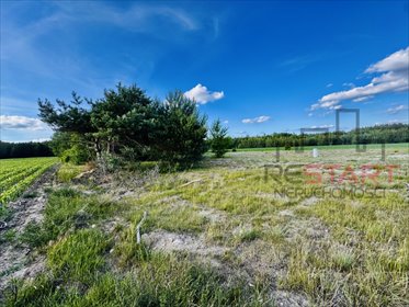 Zapraszam do zakupu działek 962-1687 m² w Dachowej działka Dachowa