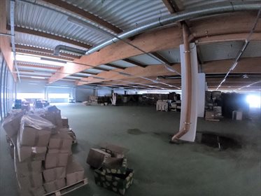 Lokal użytkowy na wynajem Regnów 8 500m2 Foto 7