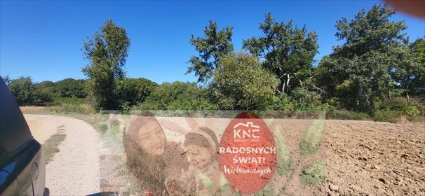 działka na sprzedaż 1070m2 działka Konopnica