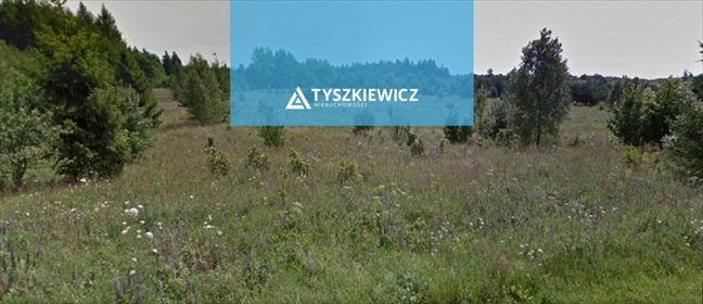Działka rolna na sprzedaż Kierzkowo, Bliziny, Morska 49 200m2 Foto 4