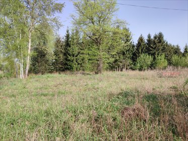 Duża działka budowlana 9500 m² w Opypach – potencjał inwestycyjny działka Opypy