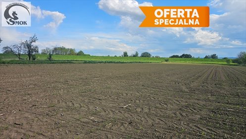 Działka 1100 m2 z warunkami zabudowy, spokojna okolica działka Kraków, Nowa Huta, Chałupki