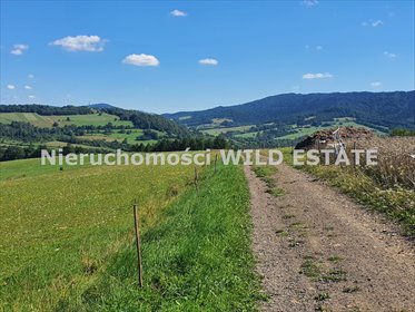 Na sprzedaż działka rolna 16 200 m² z panoramicznym widokiem działka Baligród, Mchawa