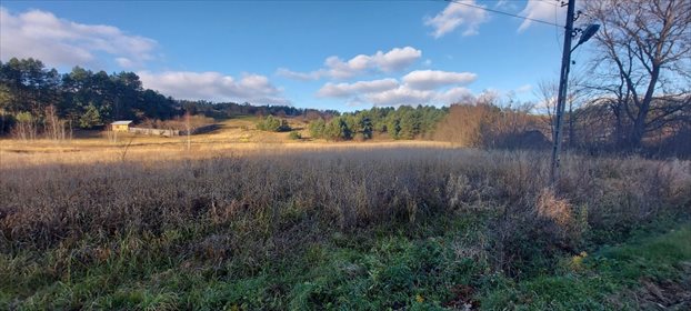 Działka rolna na sprzedaż Bliżów 18 700m2 Foto 6