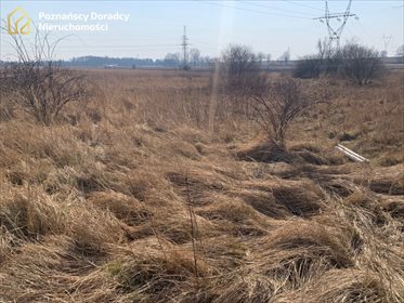 działka na sprzedaż 12062m2 działka Poznań, Ogrody, Podjazdowa