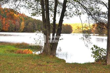 działka na sprzedaż 1500m2 działka Borzestowo