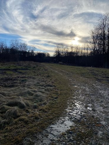 działka na sprzedaż 8100m2 działka Mucharz