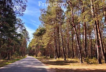 Działka 7906 m² z lasem i możliwością budowy - polecam działka Kalinowo