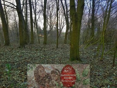 działka na sprzedaż 3300m2 działka Kocianów