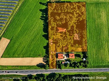 Duża działka inwestycyjna 11 379 m² przy DK10 - zapraszam działka Kalinówka