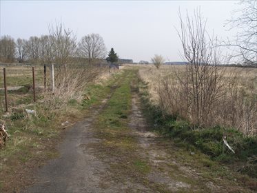 działka na sprzedaż 1500m2 działka Czarna Łąka