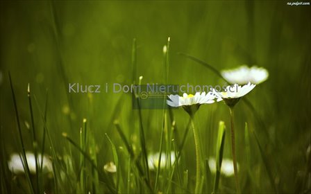 Działka pod zabudowę wielorodzinną w Piastowie - polecam! działka Piastów