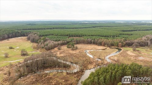 działka na sprzedaż 81800m2 działka Goleniów, Krzewno Osada