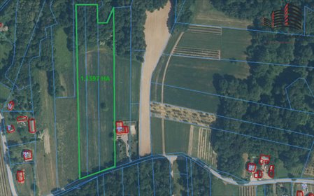 działka na sprzedaż 11597m2 działka Skowieszynek