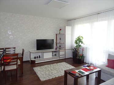 mieszkanie na wynajem 49m2 mieszkanie Piotrków Trybunalski, Heleny Trzcińskiej