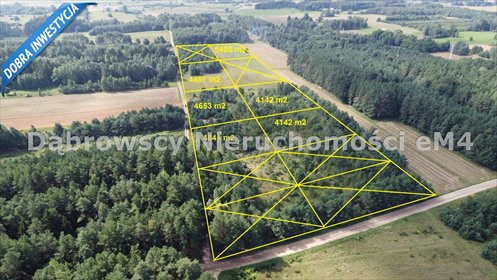 działka na sprzedaż 4142m2 działka Dobrzyniewo Duże, Letniki