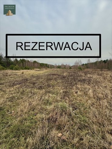 działka na sprzedaż 11405m2 działka Karakule