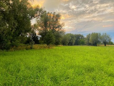 działka na sprzedaż 16650m2 działka Cząstków Mazowiecki, Cząstków Mazowiecki