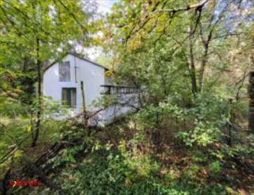 działka na sprzedaż 33000m2 działka Leontynów