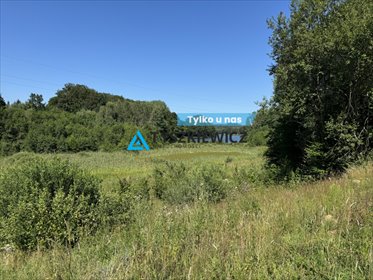 Działka z widokiem na jezioro i las, pierwsza linia! działka Piekło Dolne