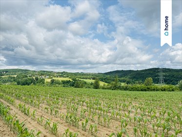 działka na sprzedaż 35300m2 działka Rudnik