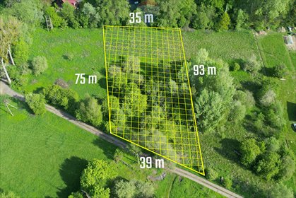 działka na sprzedaż Wilków Nad Wisłą 3000 m2