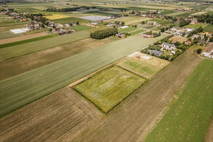 działka na sprzedaż 3000m2 działka Żelazków