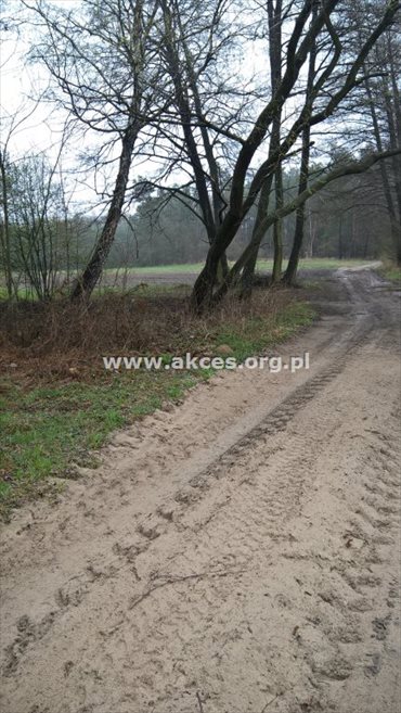 działka na sprzedaż 16800m2 działka Gończyce