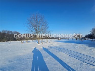 działka na sprzedaż 3416m2 działka Lubiska, Kolonia