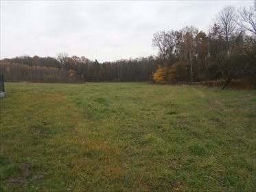 Działka budowlana na sprzedaż Piątkowiec 11 400m2 Foto 1