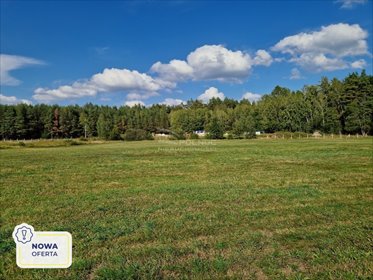 działka na sprzedaż 8022m2 działka Krynickie