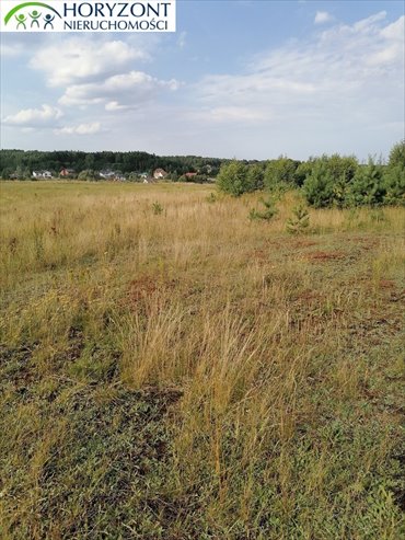 Na sprzedaż działka budowlana 1000 m² w Koleczkowie działka Koleczkowo