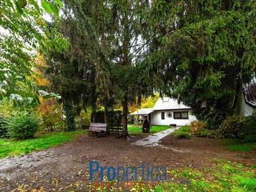 dom na sprzedaż 65m2 dom Trzcianka