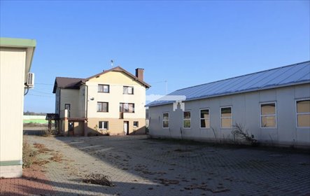 Inwestycyjny kompleks w Piotrkowie Trybunalskim - dom, hale i biuro lokal użytkowy Piotrków Trybunalski, Trybunalska