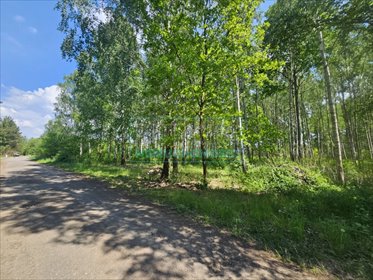 Działka 1200 m² z mediami, MPZP, blisko Grodziska działka Kozerki