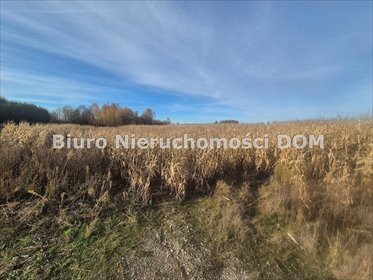 działka na sprzedaż 7585m2 działka Łochynia