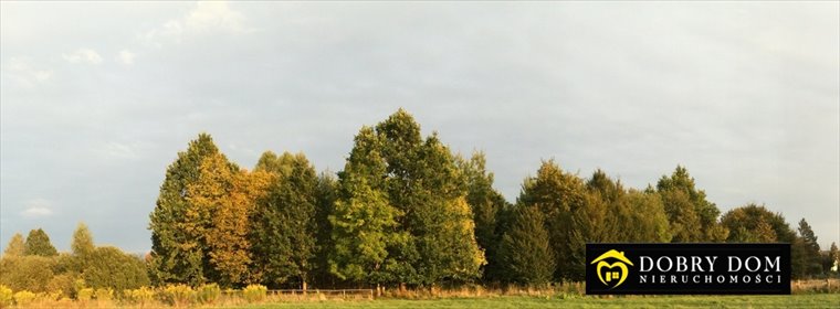 Wyjątkowa działka 2800 m² w sercu Białowieży. działka Białowieża