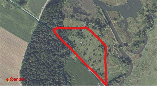 Działka 3,5 ha nad Jeziorem Niedów z dostępem do wody działka Zawidów