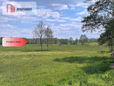 działka na sprzedaż 30000m2 działka Niesułowice