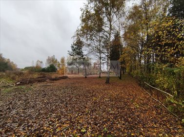 Działka budowlana na sprzedaż Radom, Godów 1 800m2 Foto 3