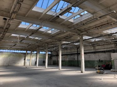 lokal użytkowy na sprzedaż 2200m2 lokal użytkowy Błonie